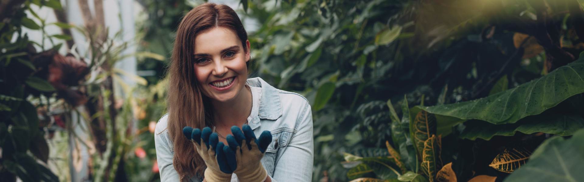 Introducera Sommarvikarien